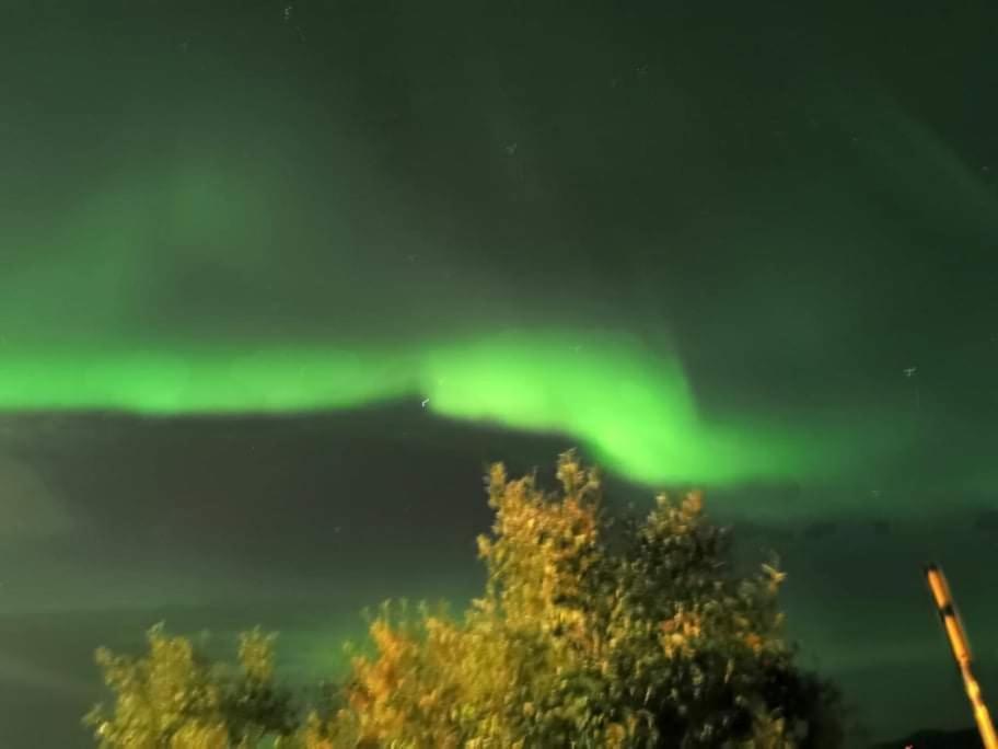 Aurora Rooms In Shared Apartment Nr2 We Are Doing Privet Northen Lights Trips, Reindeer Trip And Fjord Sommaroy Trip Tromso Ngoại thất bức ảnh